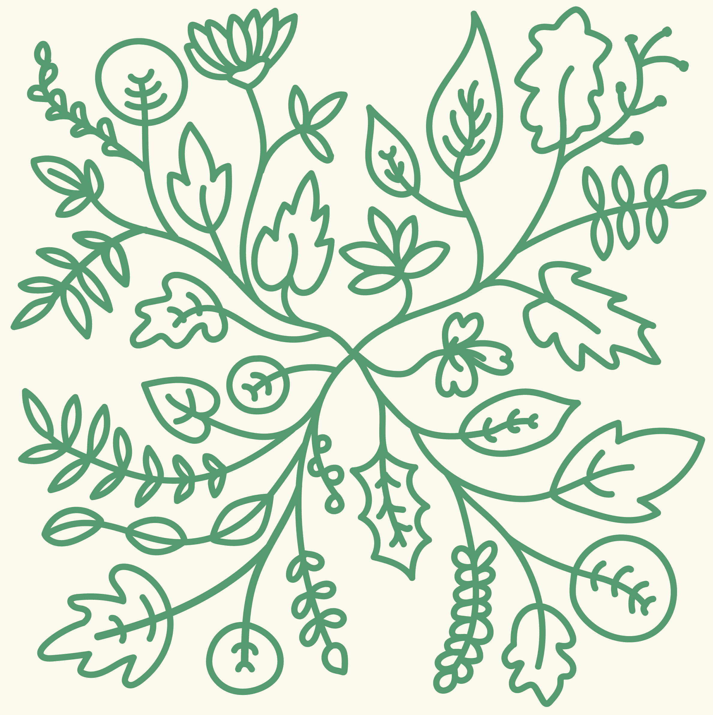 Bloom Curriculum illustration